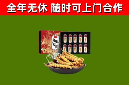 雷山县回收冬虫夏草价格