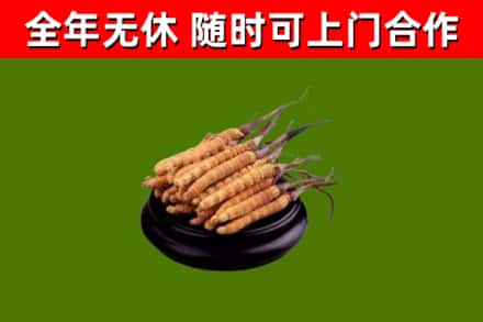 雷山县烟酒回收冬虫夏草.jpg