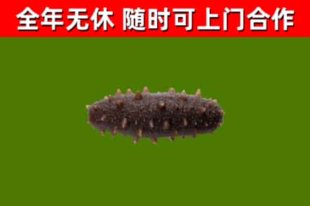 雷山县烟酒回收干海参.jpg